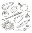 mixed vegetable - isolated set vector image vector image