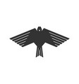 dove pigeon vector image