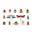 collection of various colorful geometric insects vector image