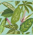 tropical seamless pattern with banana palm leaves vector image vector image