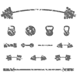 a set of sports equipment vector image vector image