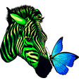 head of zebra abstract vector image