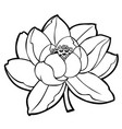 lotus flower silhouette 10 vector image