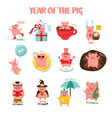 monthly creative calendar 2019 with cute pig vector image vector image