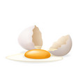 white yolk broken egg cracked open easter eggshell vector image