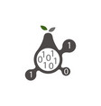 pear program code connection vector image