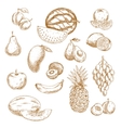 whole and halved fresh fruits vintage sketch icons vector image