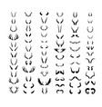 collection of horns vector image