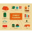 camping equipment infographics vector image
