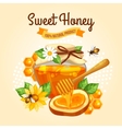 sweet honey poster vector image vector image