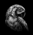 macaw parrot hand-drawn sketchy art portrait vector image