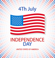 independence day american signs hanging with chain vector image vector image