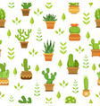desert plants with flowers cactus in pots vector image