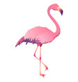 flamingo icon pink tropical bird summer symbol vector image vector image