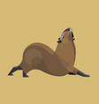 capybara vector image vector image