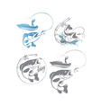 fishing logo vector image