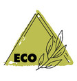natural and organic products eco safe banner vector image