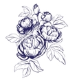 floral blooming rose branch vector image