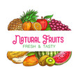 natural fruits banner isolated sketch frame vector image vector image