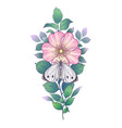 hand drawn pink dog-rose flower and butterfly vector image