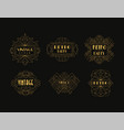 art deco vintage and retro golden line frame vector image vector image