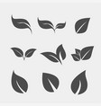 set of black tree leaf flat icon vector image