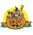 dogs in a pumpkin vector image