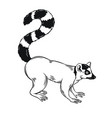 lemur icon outline vector image vector image