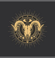 occult symbol esoteric tarot skull magic alchemy vector image vector image