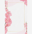 cherry blossom water colour hand paint vector image
