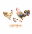 domestic bird family hen cock and chick vector image