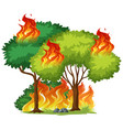 isolated tree on fire vector image