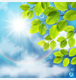 green leaves on sky background vector image vector image