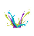 color water splash on white background vector image