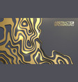 luxury background for presentation gold on black vector image vector image