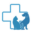 veterinary logo vector image