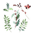 set of watercolor traditional winter branches vector image