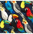 seamless macaw and toucan vector image