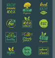 ecoorganicbio logo cards templates vector image