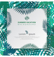 summer tropical with exotic palm leaves or plants vector image