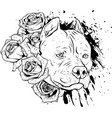 draw in black and white head dog with roses vector image