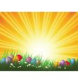 easter eggs in grass vector image vector image