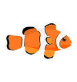 amphiprion ocellaris - ocellaris clownfish vector image vector image