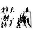 basketball vector image