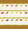 pomelo and longan posters vector image