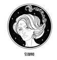 scorpio astrological sign vector image vector image