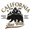 california typography print grizzly bear t-shirt vector image vector image