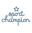 sport champion decoration vector image vector image