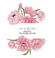 tender peony drawing banner flower composition vector image