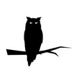 owl on white background vector image vector image